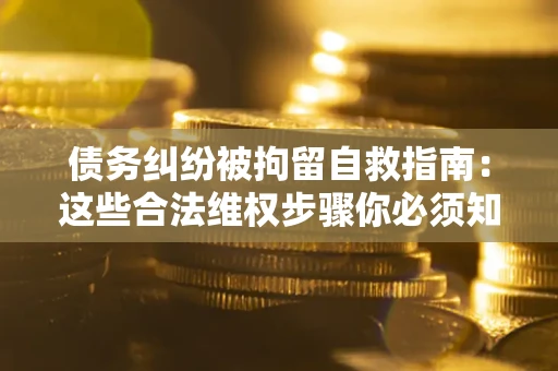 武汉债务纠纷被拘留自救指南：这些合法维权步骤你必须知道！