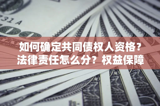 武汉如何确定共同债权人资格？法律责任怎么分？权益保障技巧揭秘！