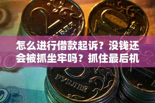 武汉怎么进行借款起诉？没钱还会被抓坐牢吗？抓住最后机会！