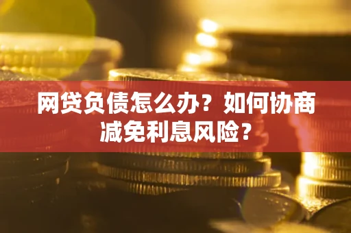 武汉网贷负债怎么办？如何协商减免利息风险？