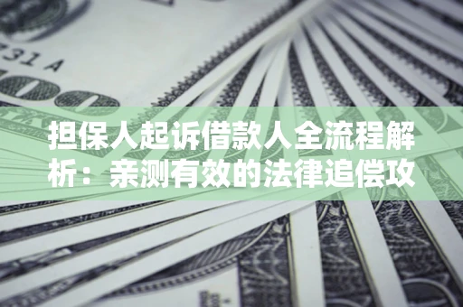 武汉担保人起诉借款人全流程解析：亲测有效的法律追偿攻略