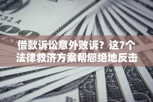 武汉借款诉讼意外败诉？这7个法律救济方案帮您绝地反击！