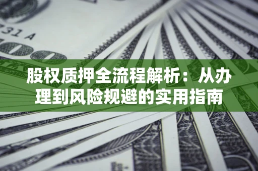 武汉股权质押全流程解析：从办理到风险规避的实用指南