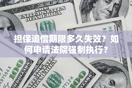 武汉担保追偿期限多久失效？如何申请法院强制执行？