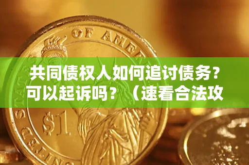 武汉共同债权人如何追讨债务？可以起诉吗？（速看合法攻略）