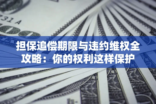 武汉担保追偿期限与违约维权全攻略：你的权利这样保护