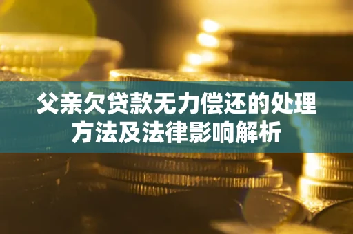 武汉父亲欠贷款无力偿还的处理方法及法律影响解析