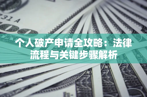 武汉个人破产申请全攻略：法律流程与关键步骤解析