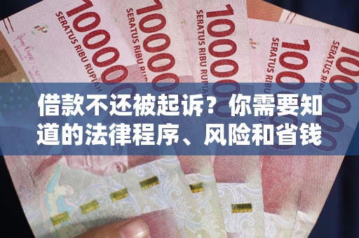 武汉借款不还被起诉？你需要知道的法律程序、风险和省钱技巧