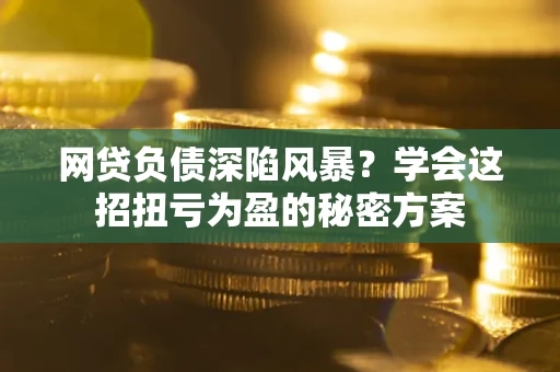 武汉网贷负债深陷风暴？学会这招扭亏为盈的秘密方案